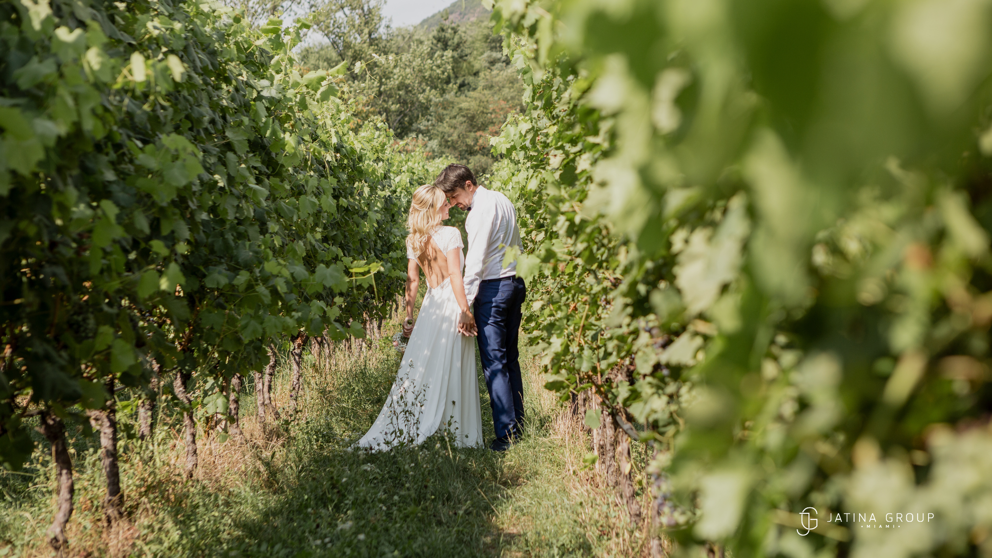 Vineyard Wedding South Florida