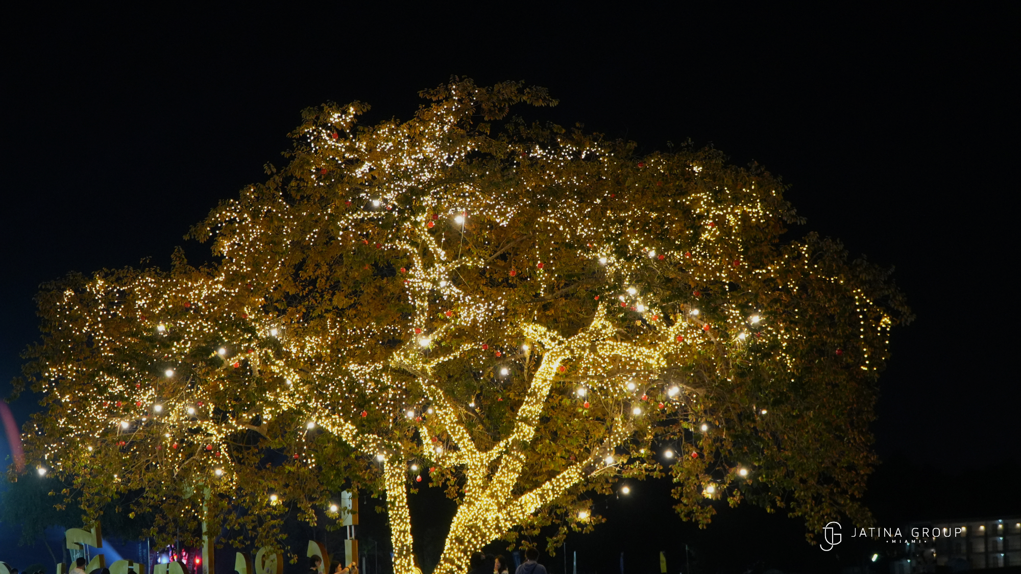Deering Estate Festival Of Trees Miami