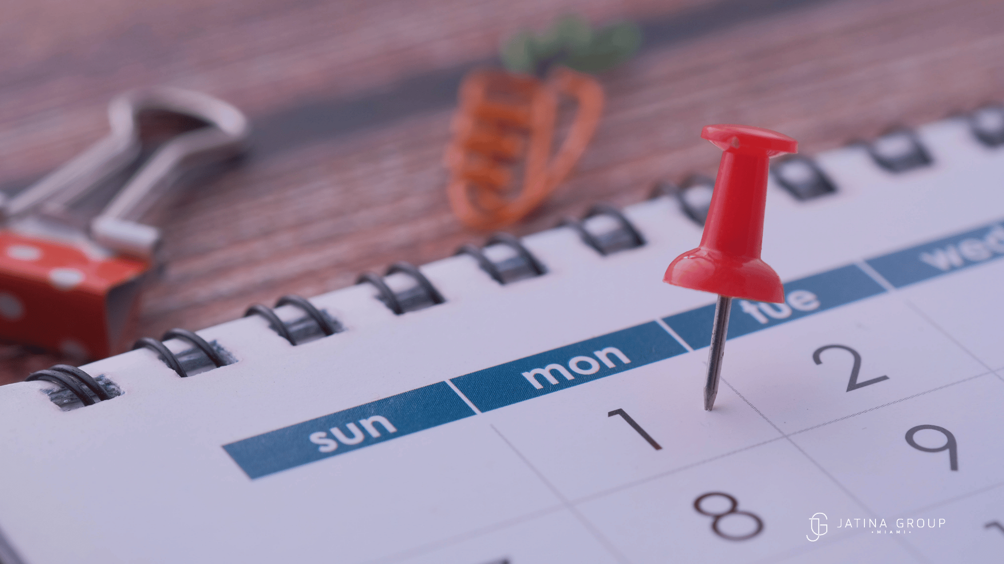 The Best Time To Visit Miami A Month By Month Villa Guide 