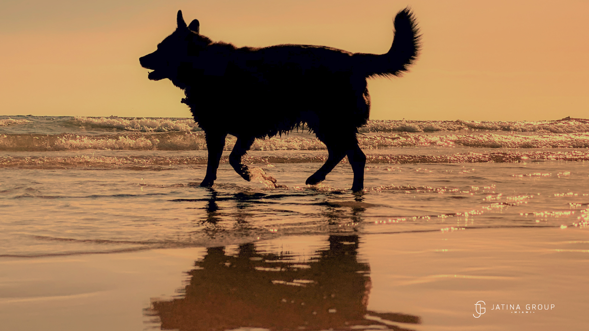 Dog Friendly Miami Villa Beach