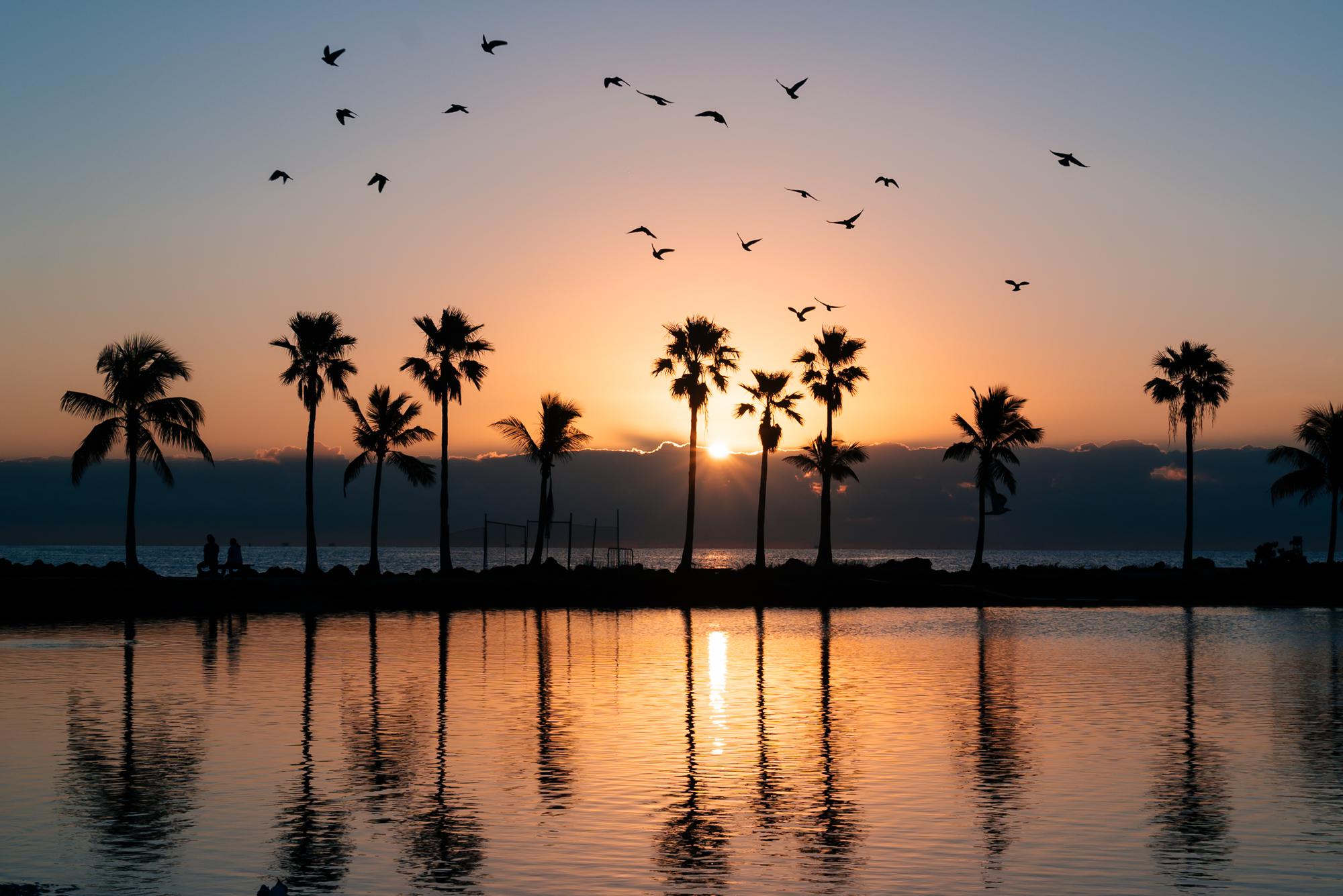 Matheson Hammock Sunset