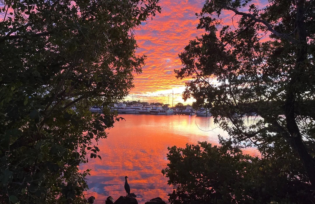 Tropical Park Sunset Png 