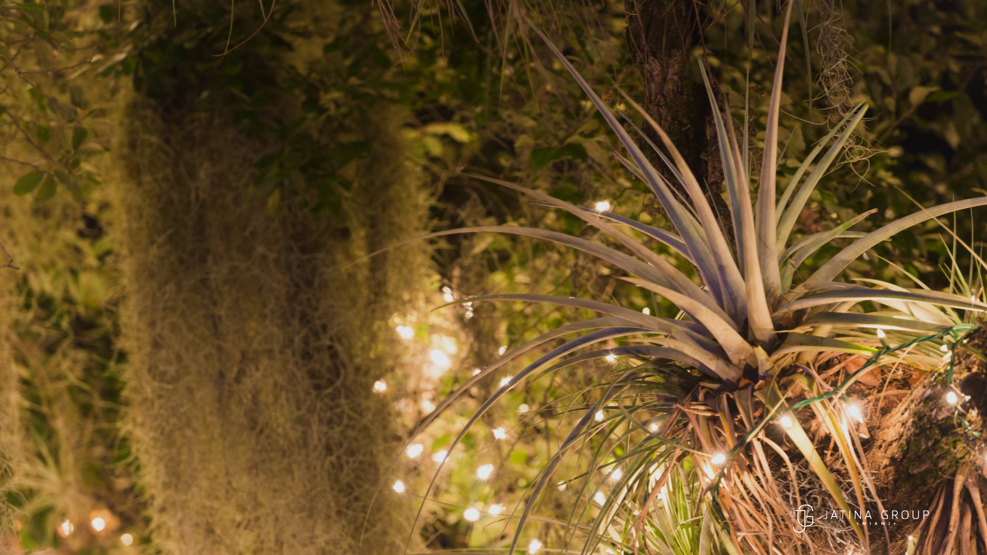 Pinecrest Gardens Nights Of Lights