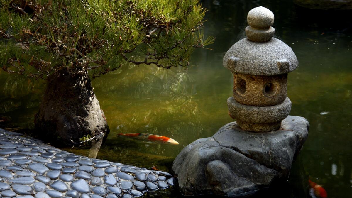 Miami Beach Botanical Garden