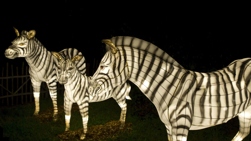 Zoo Lights Miami Festival