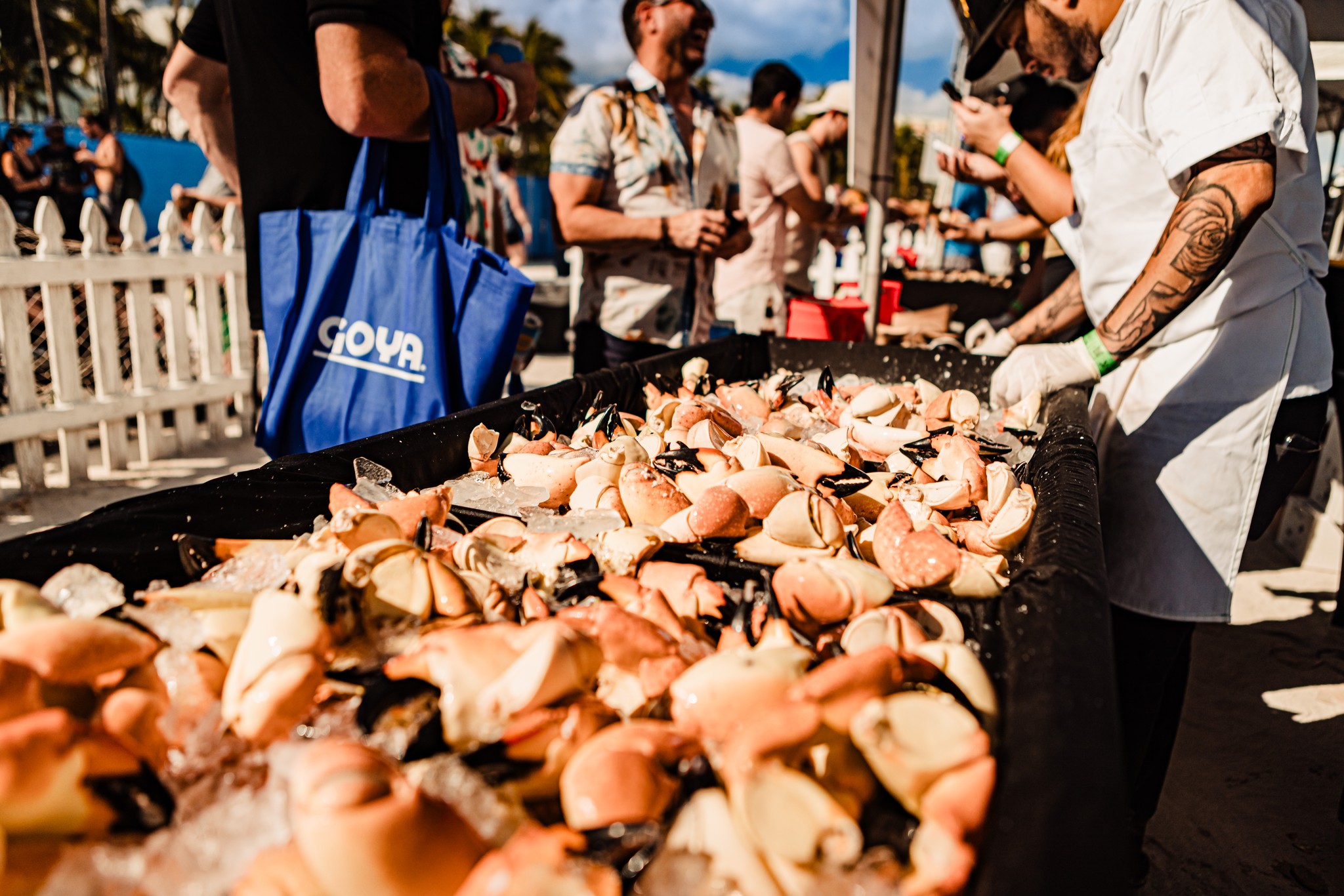 Eco Friendly Food Festival