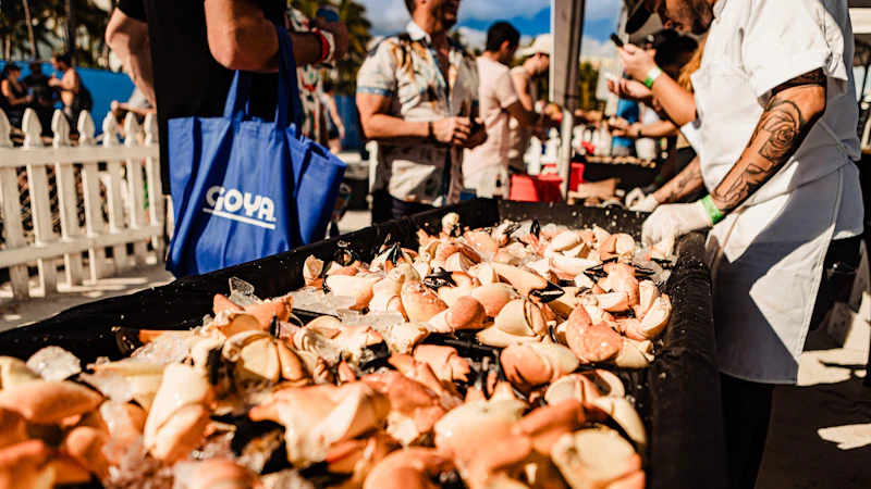 Eco Friendly Food Festival