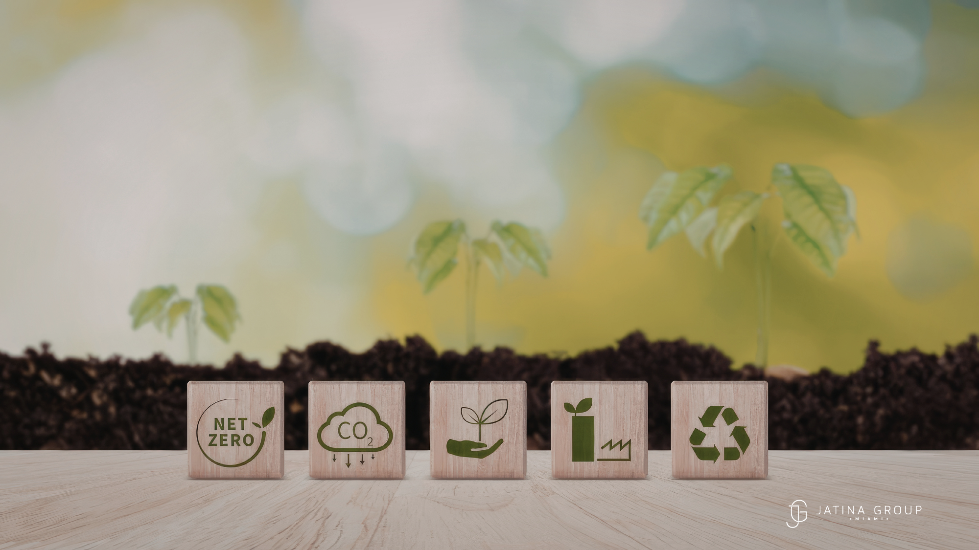 Sustainable Practices Miami F1