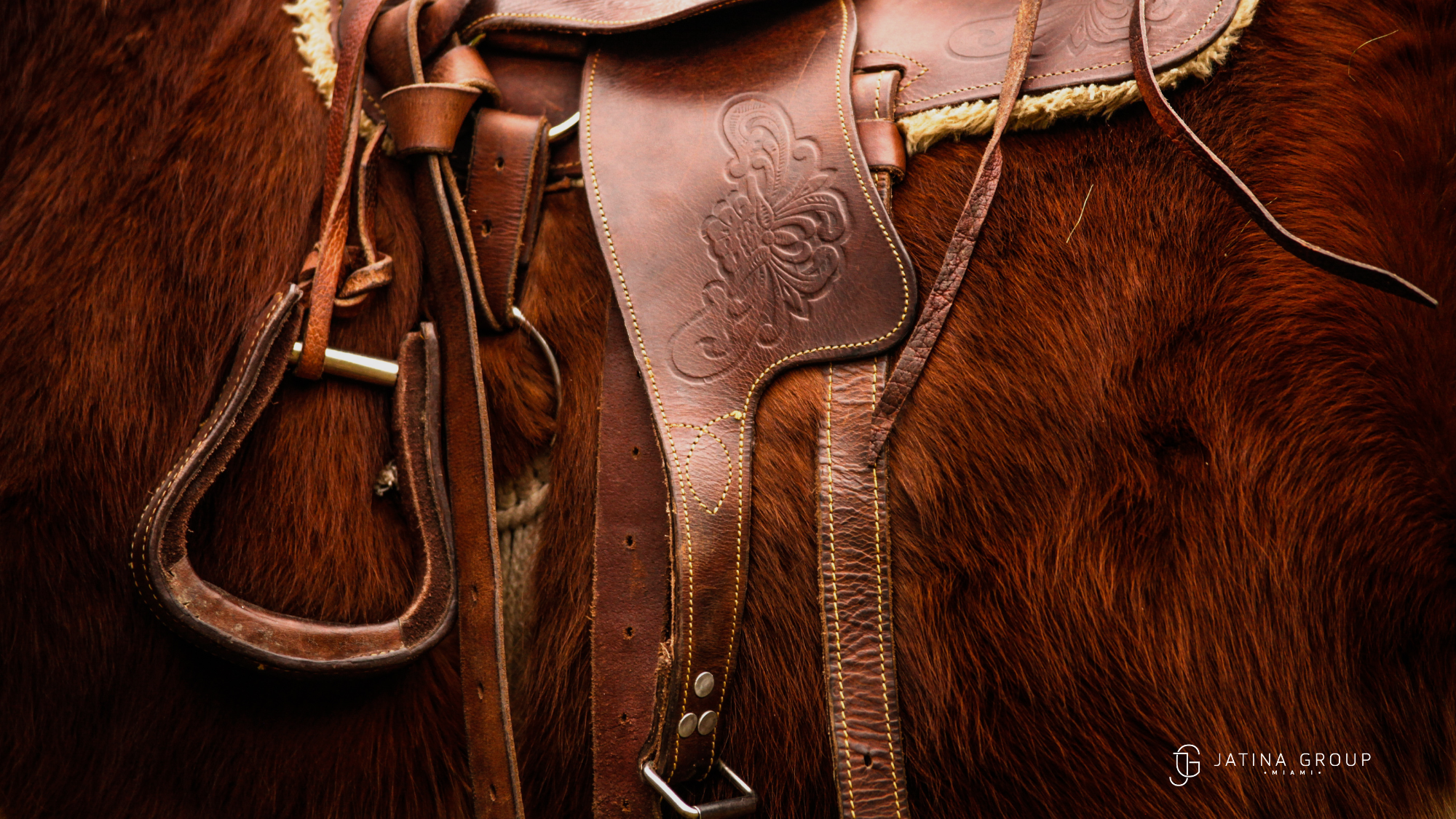 Wellington Wef Grand Prix Vip