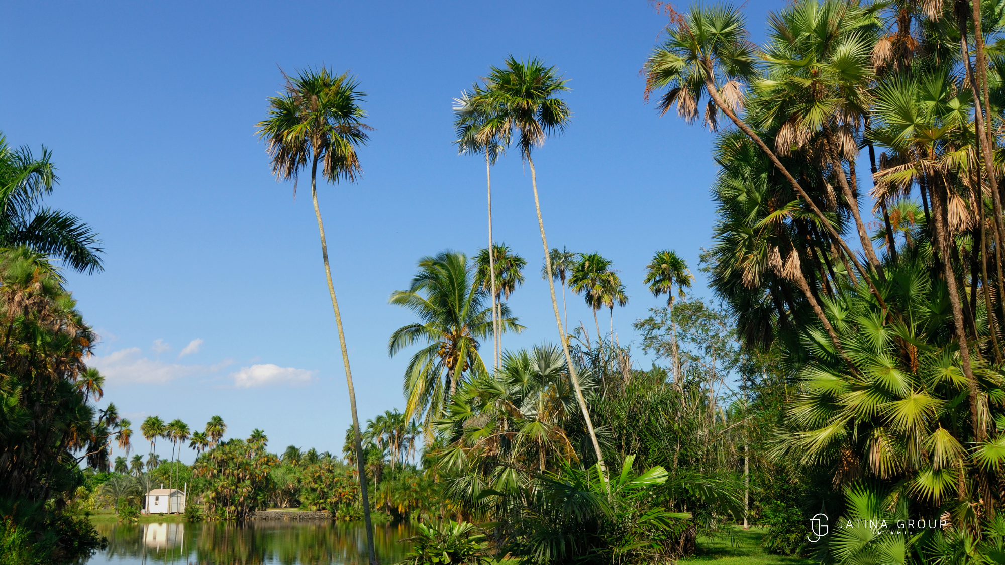 Tropical Park Sunset