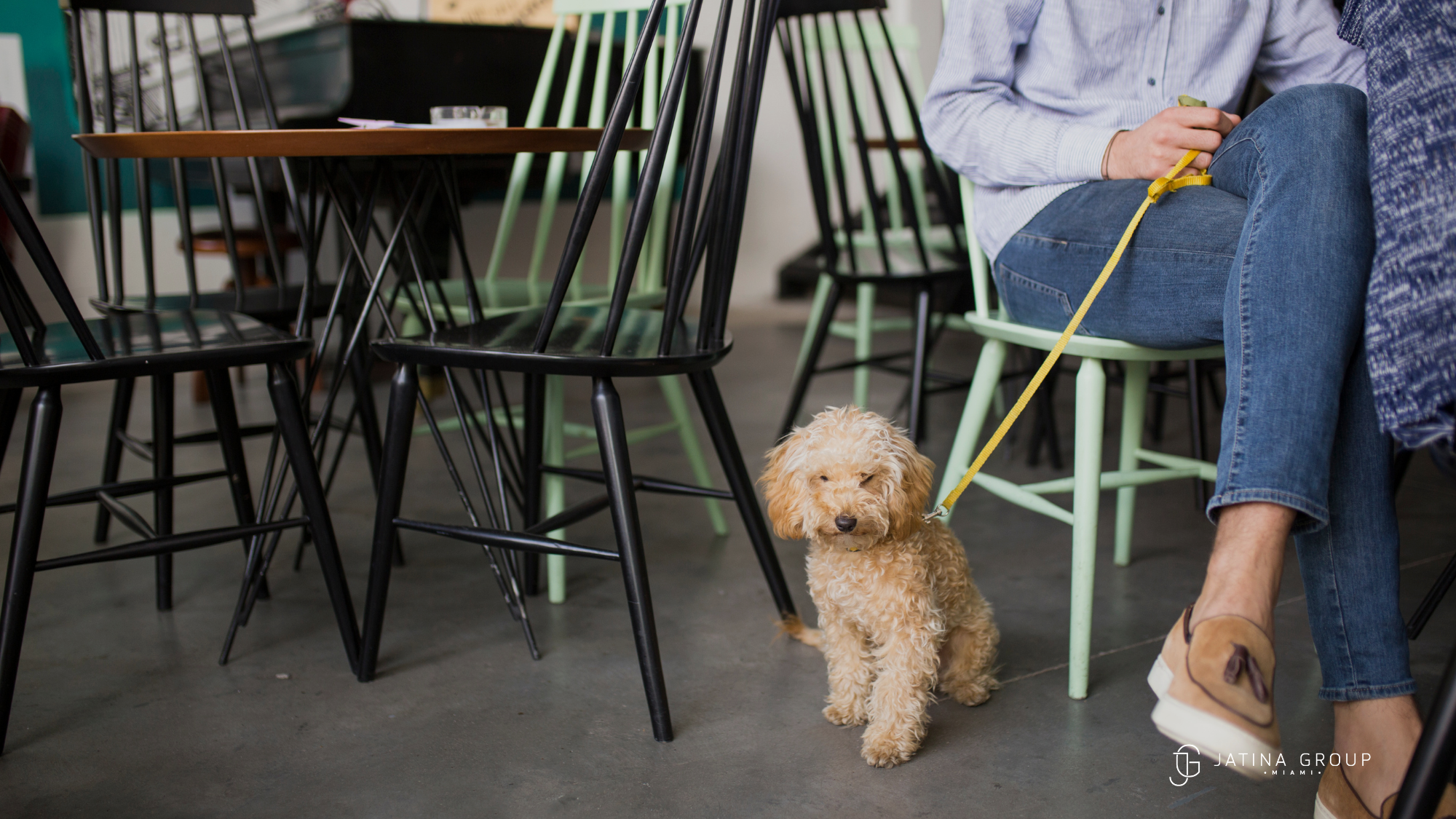Pet Friendly Dining Miami