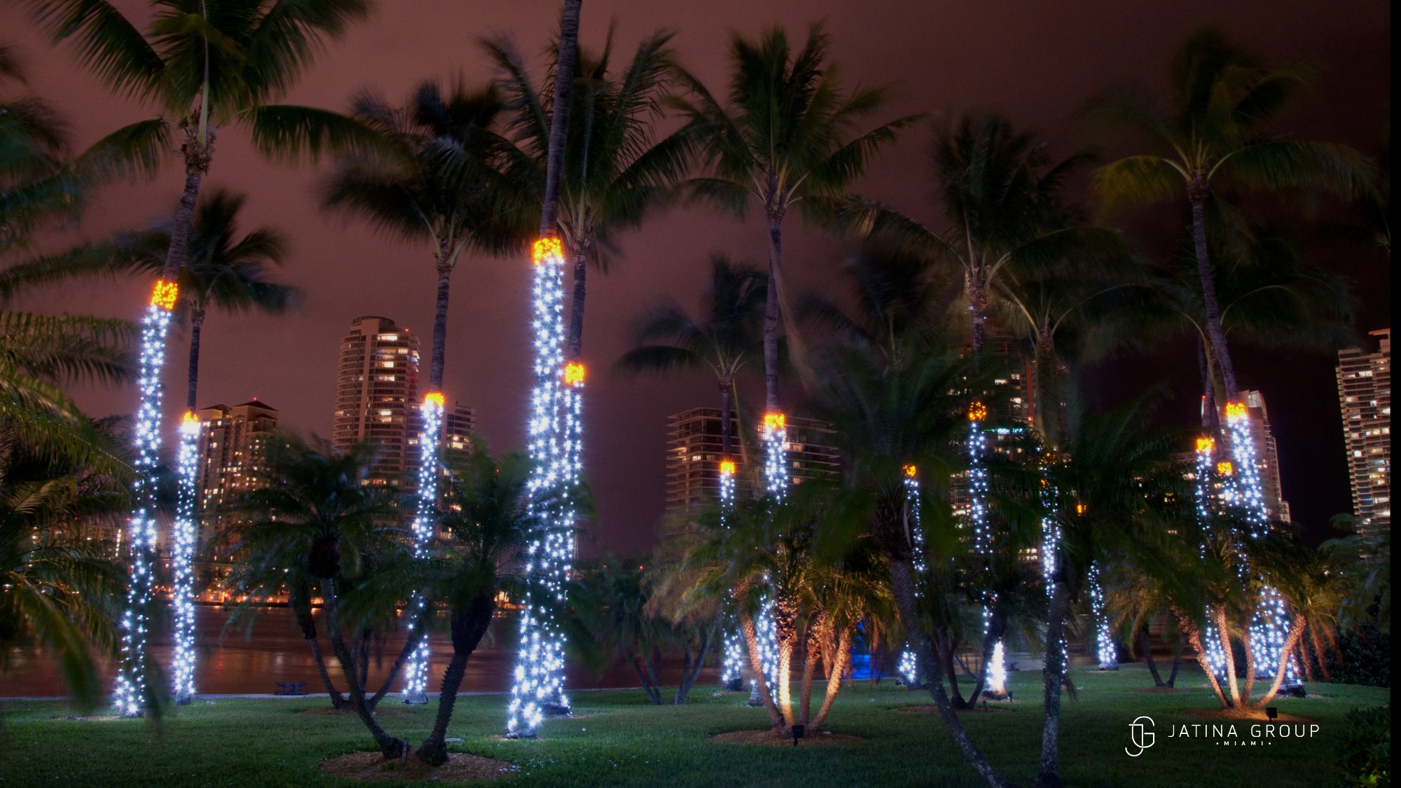 South Beach Christmas Lights