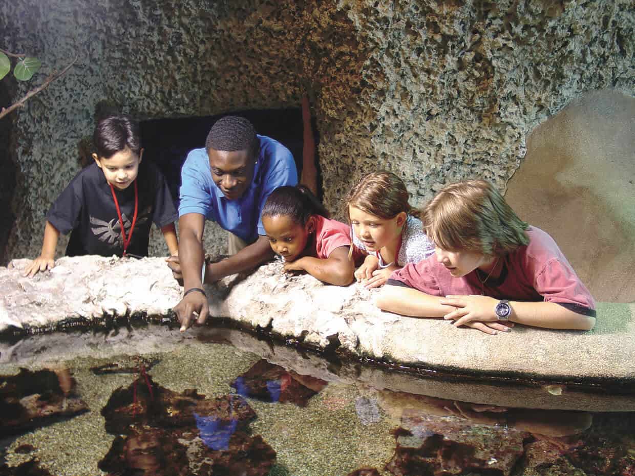 Discovery Science Museum Fort Lauderdale