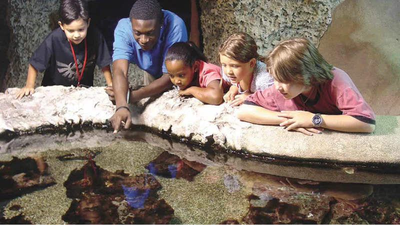 Discovery Science Museum Fort Lauderdale