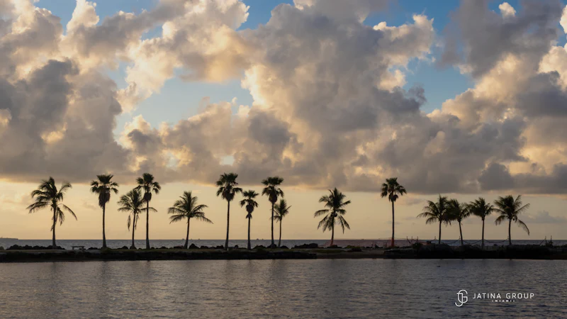 Matheson Hammock Sunset