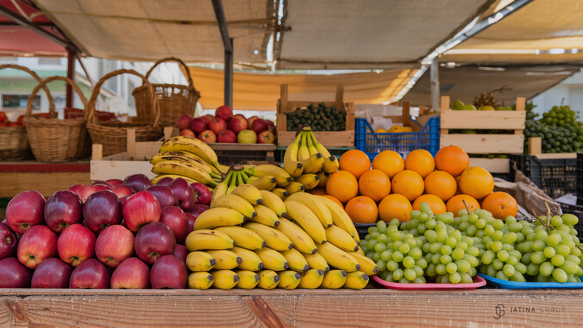 Miami Farmers Market Fruits