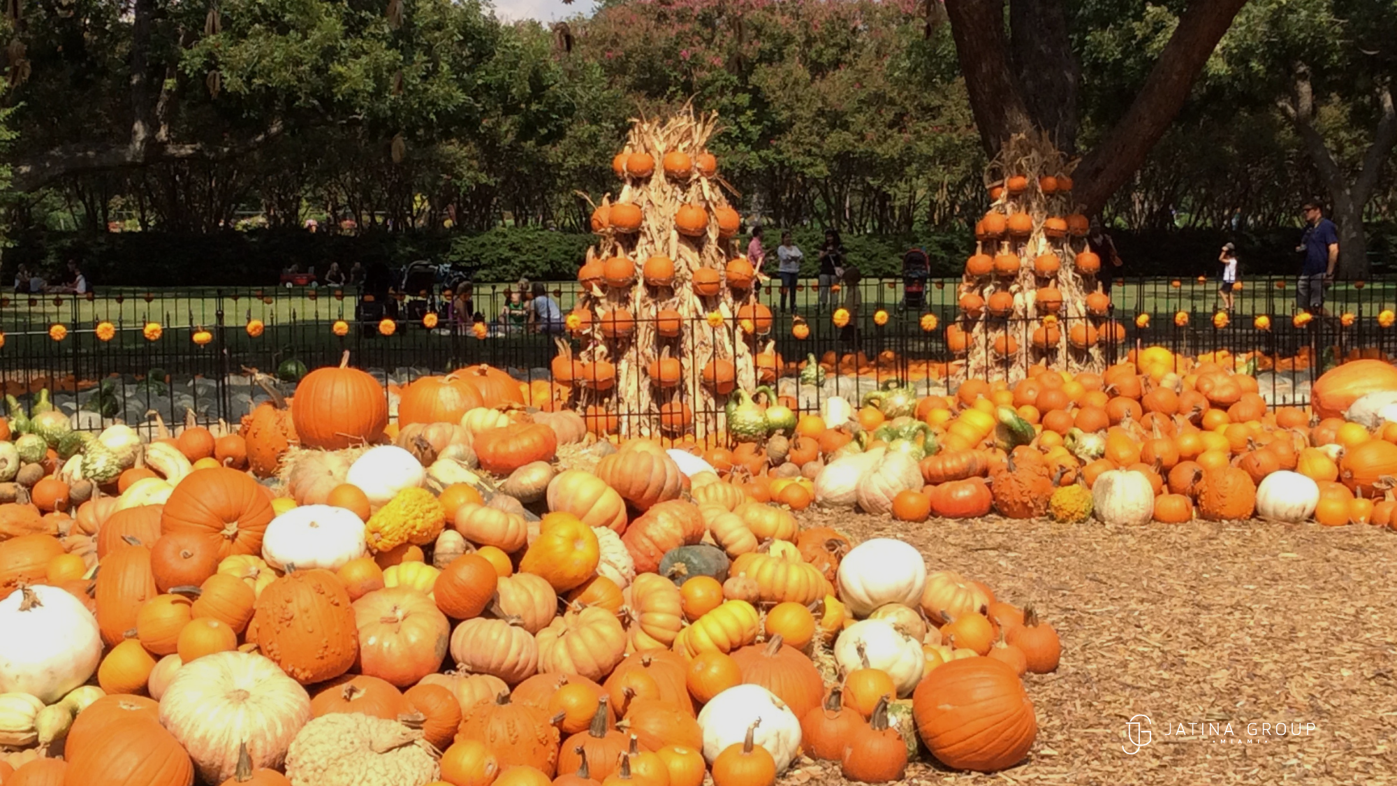 Coconut Grove Pumpkin Festival