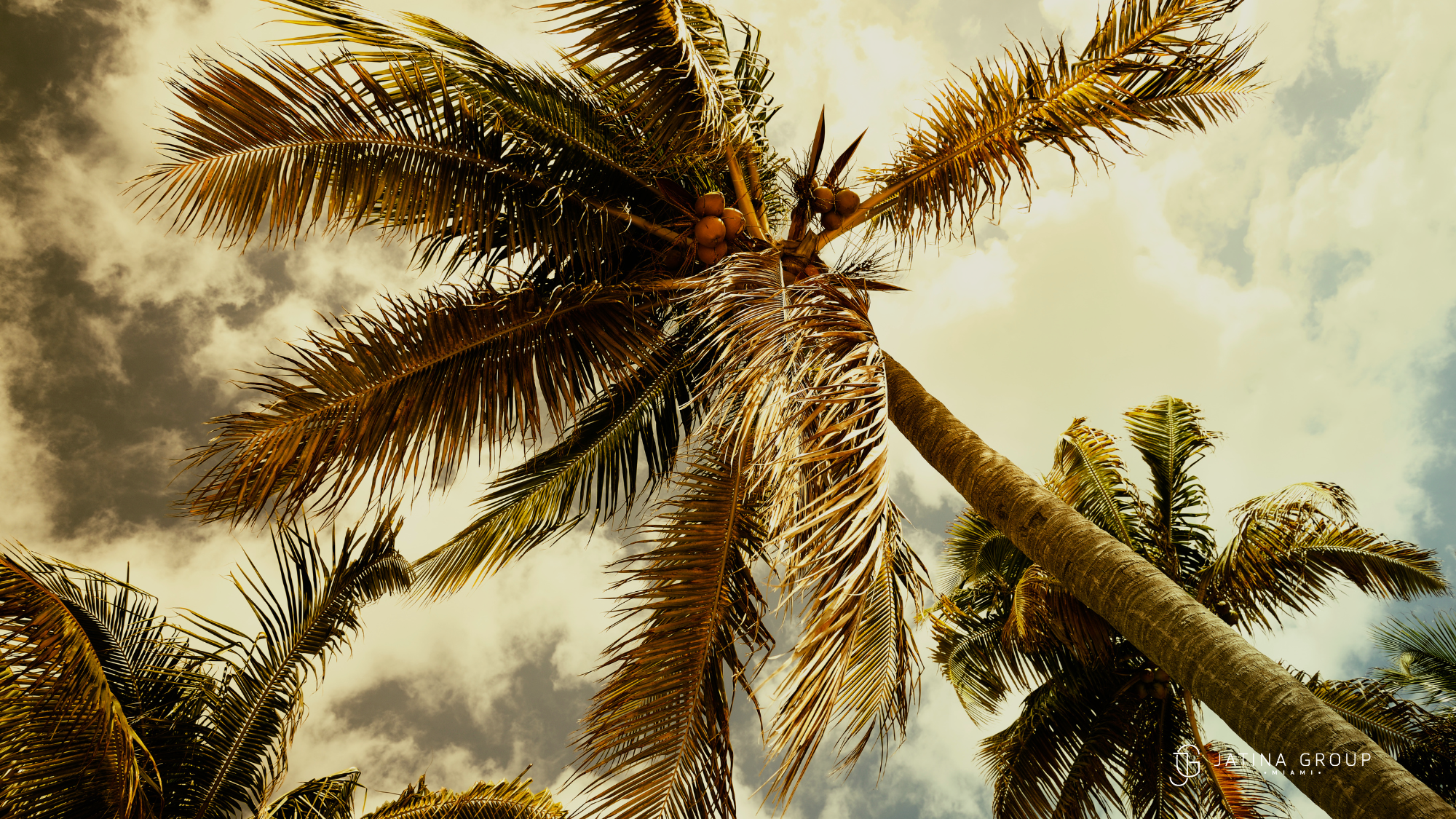 West Palm Oktoberfest Festival