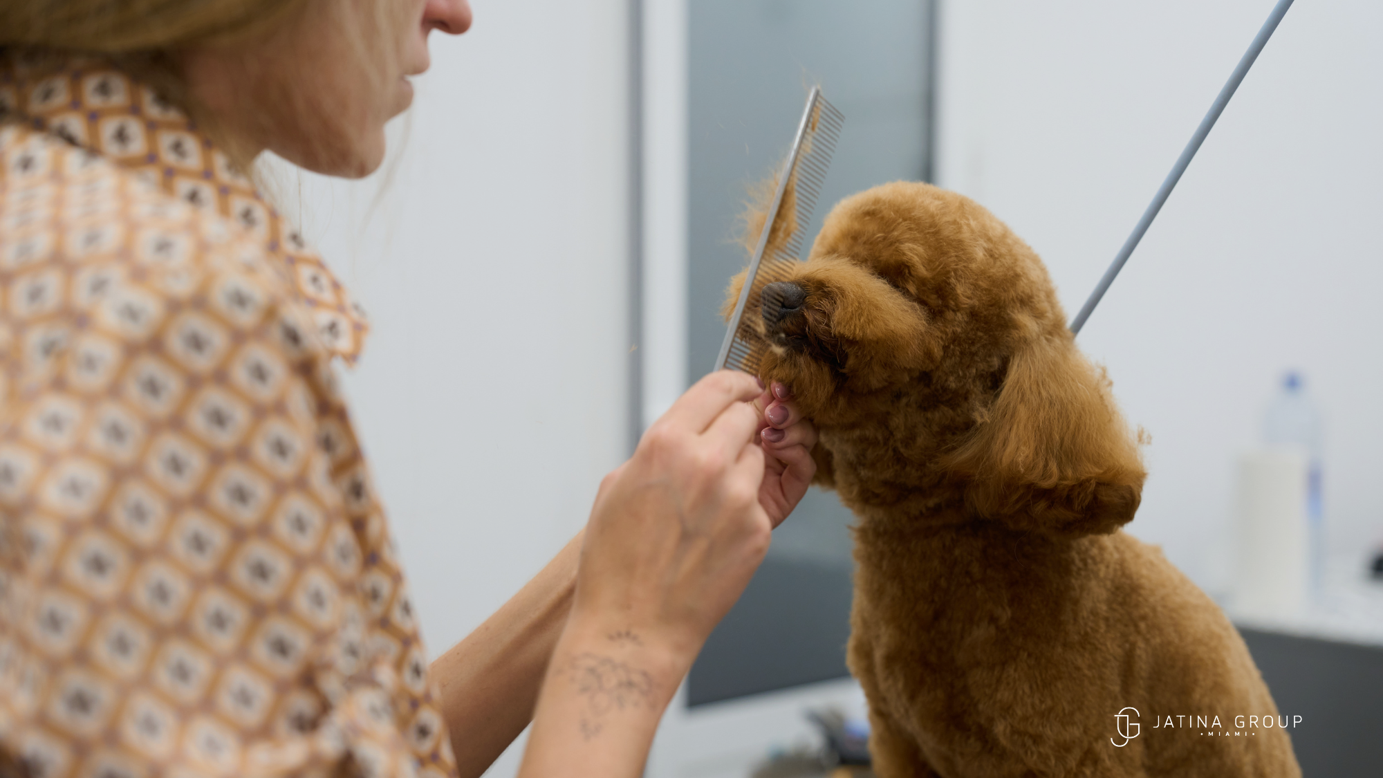 Luxury Pet Grooming Miami