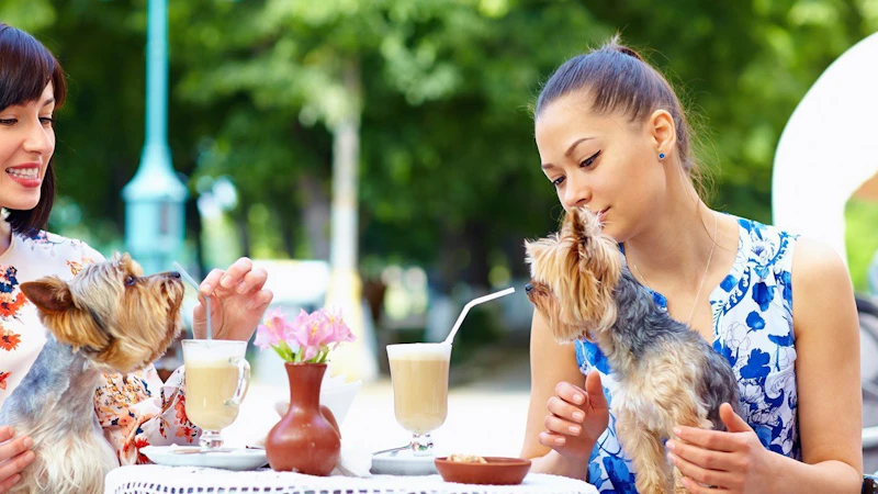 Pet Friendly Villa Fort Lauderdale