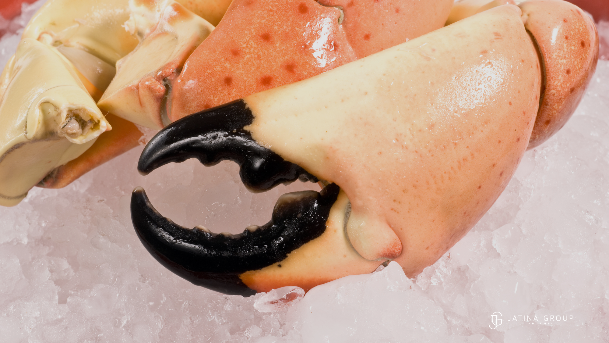 Where To Eat Stone Crab