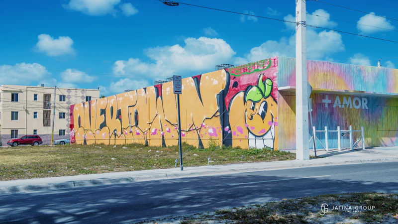 Little Haiti Mural Tour Miami