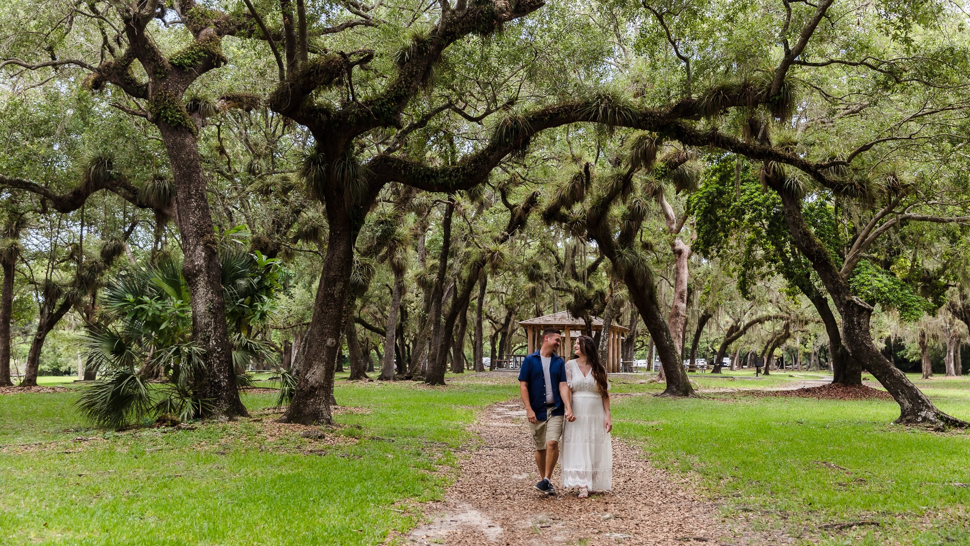 Matheson Forest Bathing