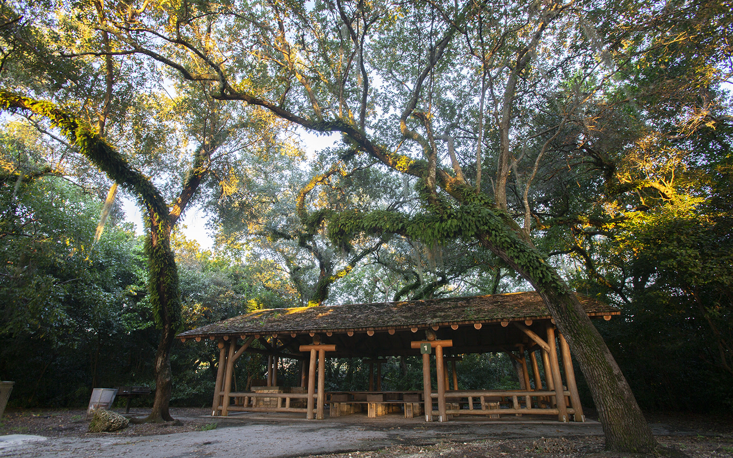 Greynolds Park Serenity