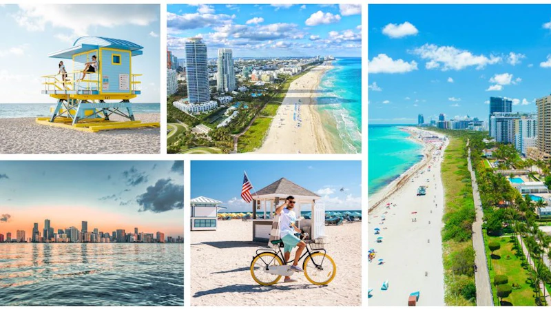 Best Time To Visit Miami Collage