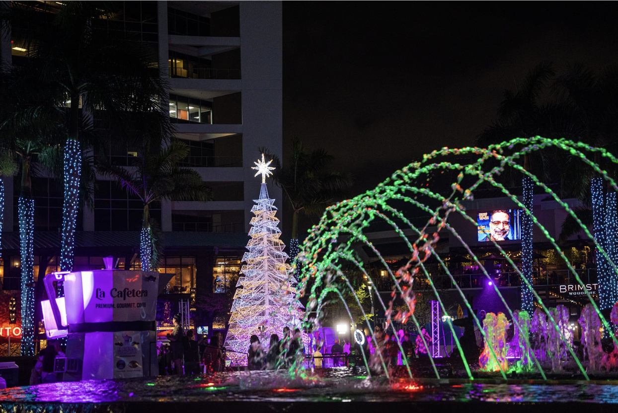 South Beach Christmas Lights