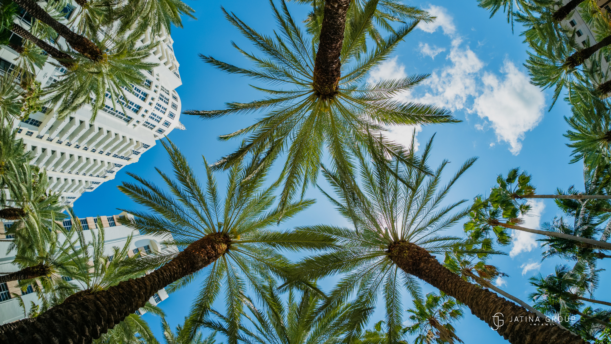 Weather Crowds Pricing May