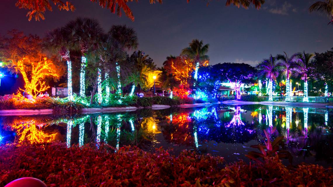 Zoo Lights Laser Show