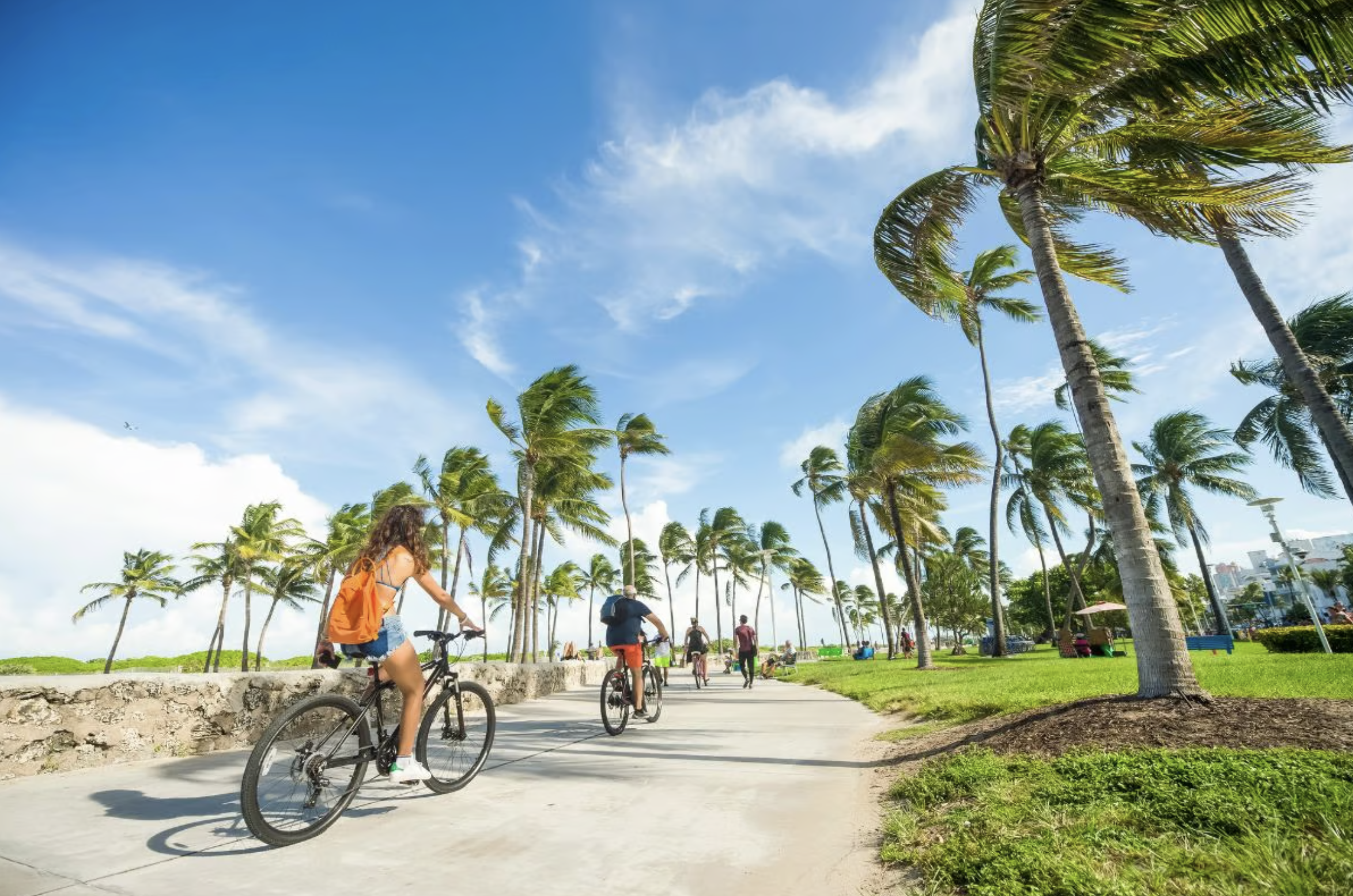 Miami Beach Boardwalk Panorama