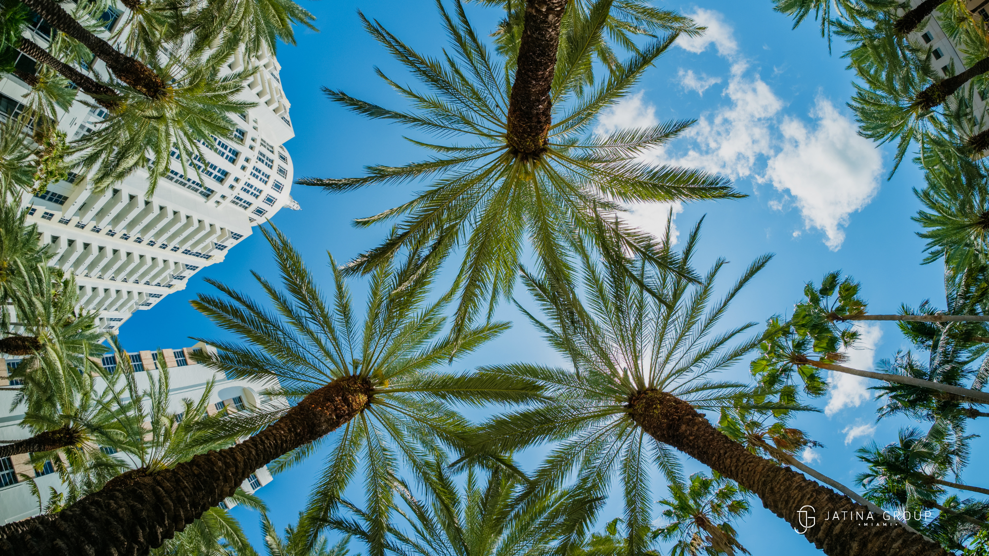 Gulfstream Park Symphony In Lights Miami