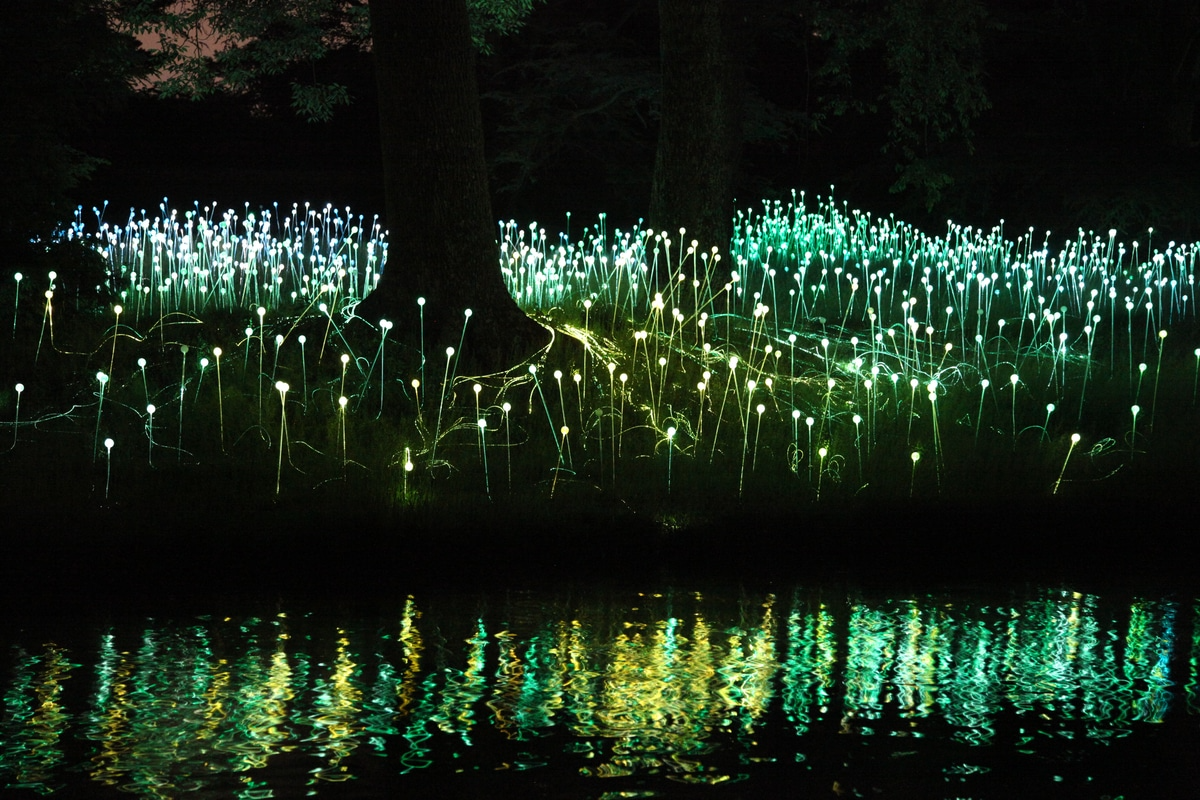 Pinecrest Gardens Nights Of Lights