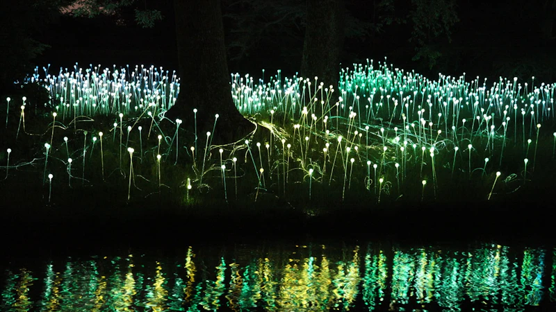 Pinecrest Gardens Nights Of Lights
