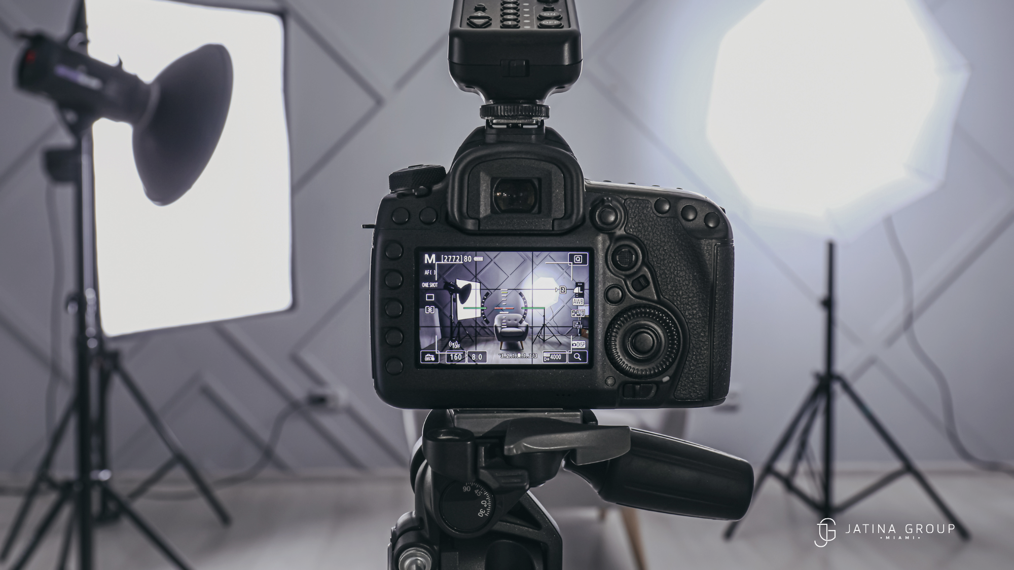 Miami Pet Photoshoot Wynwood