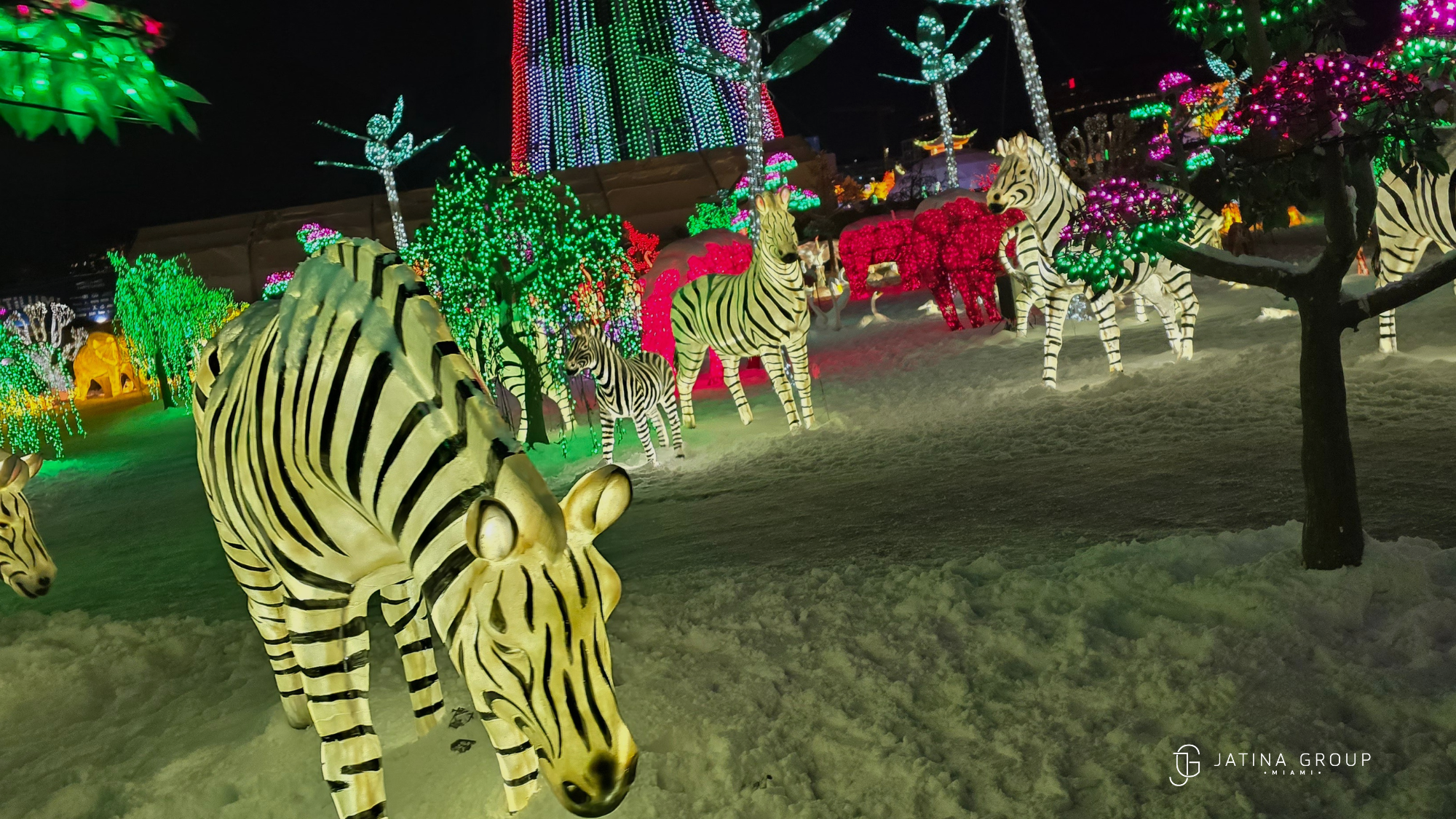 Zoo Lights Miami Holiday