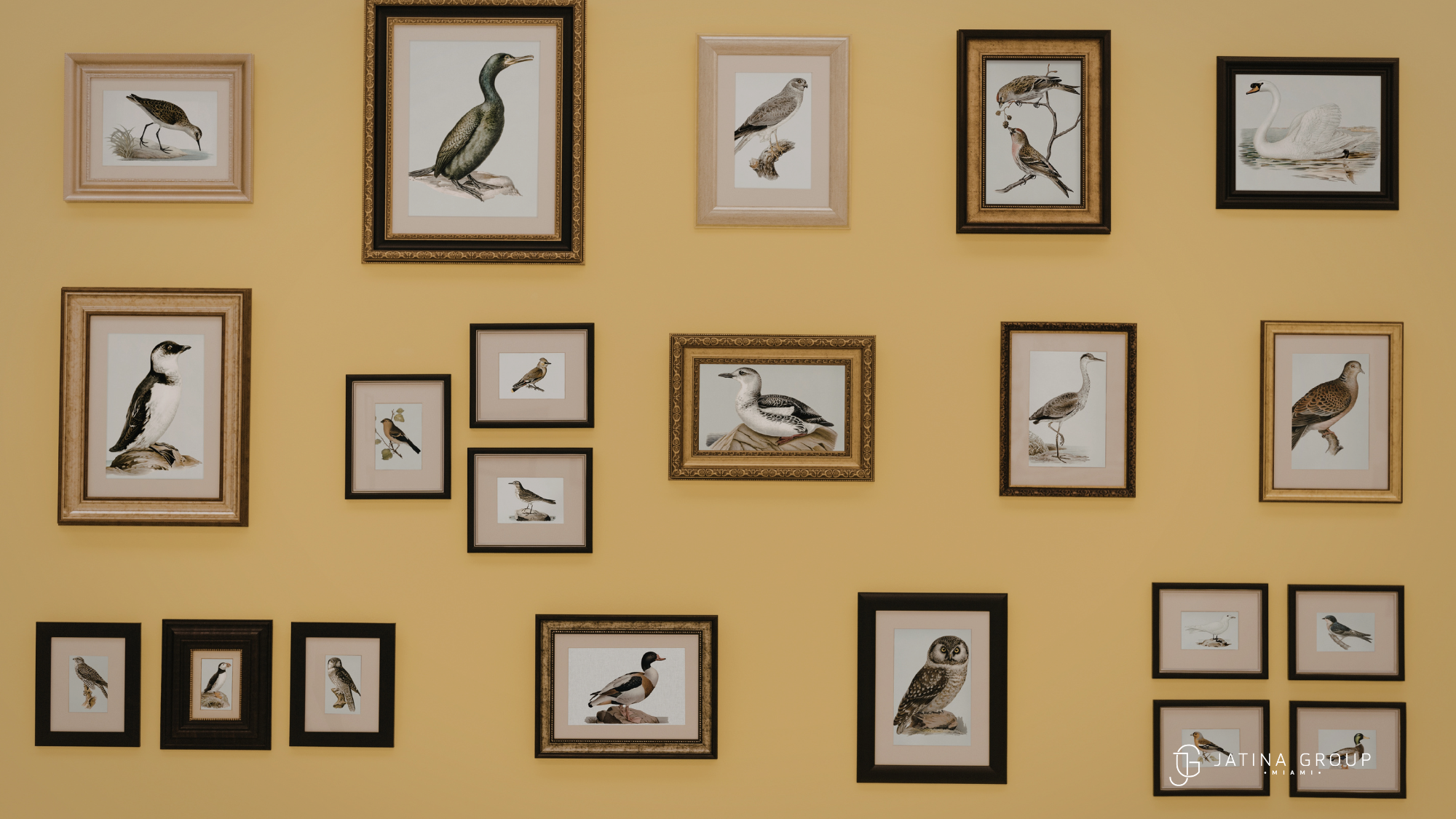 Miamiartcollectionmanagement