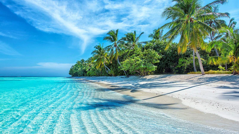 Miami Shoulder Season Deals
