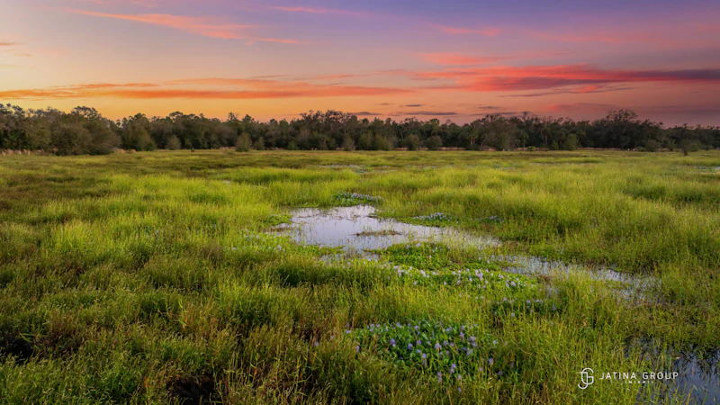 Offbeat Adventure Southflorida