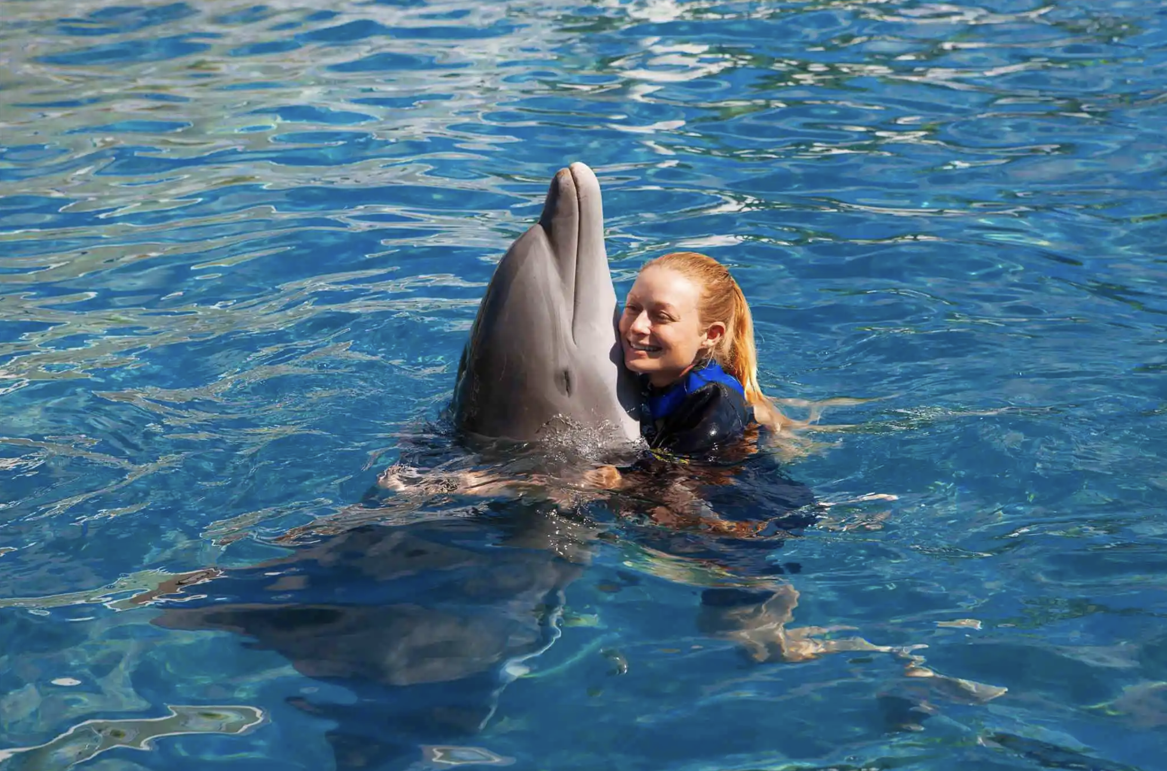Family Dolphin Encounter Miami