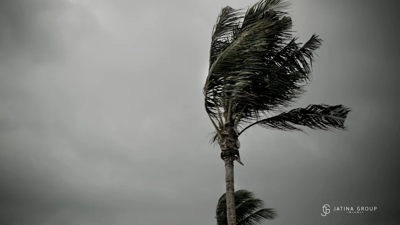 Miami August Hurricane Season
