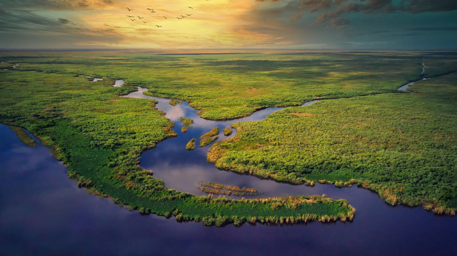Discovering The Natural Beauty Of The Everglades