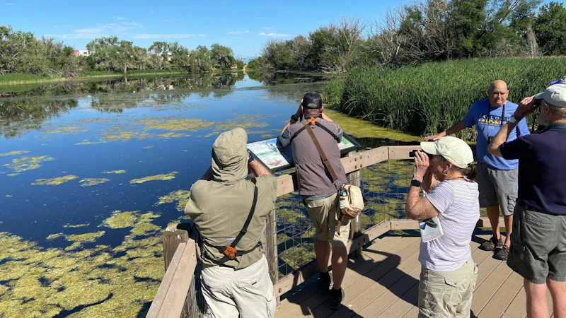 Everglades Birdwatching Dawn