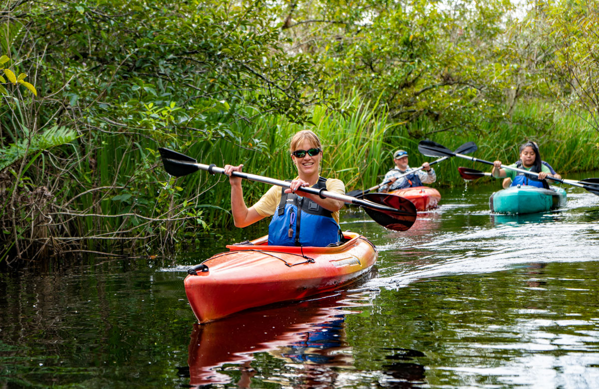 Everglades Kayak Adventure