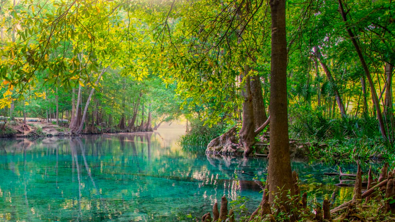 Everglades National Park Overlook