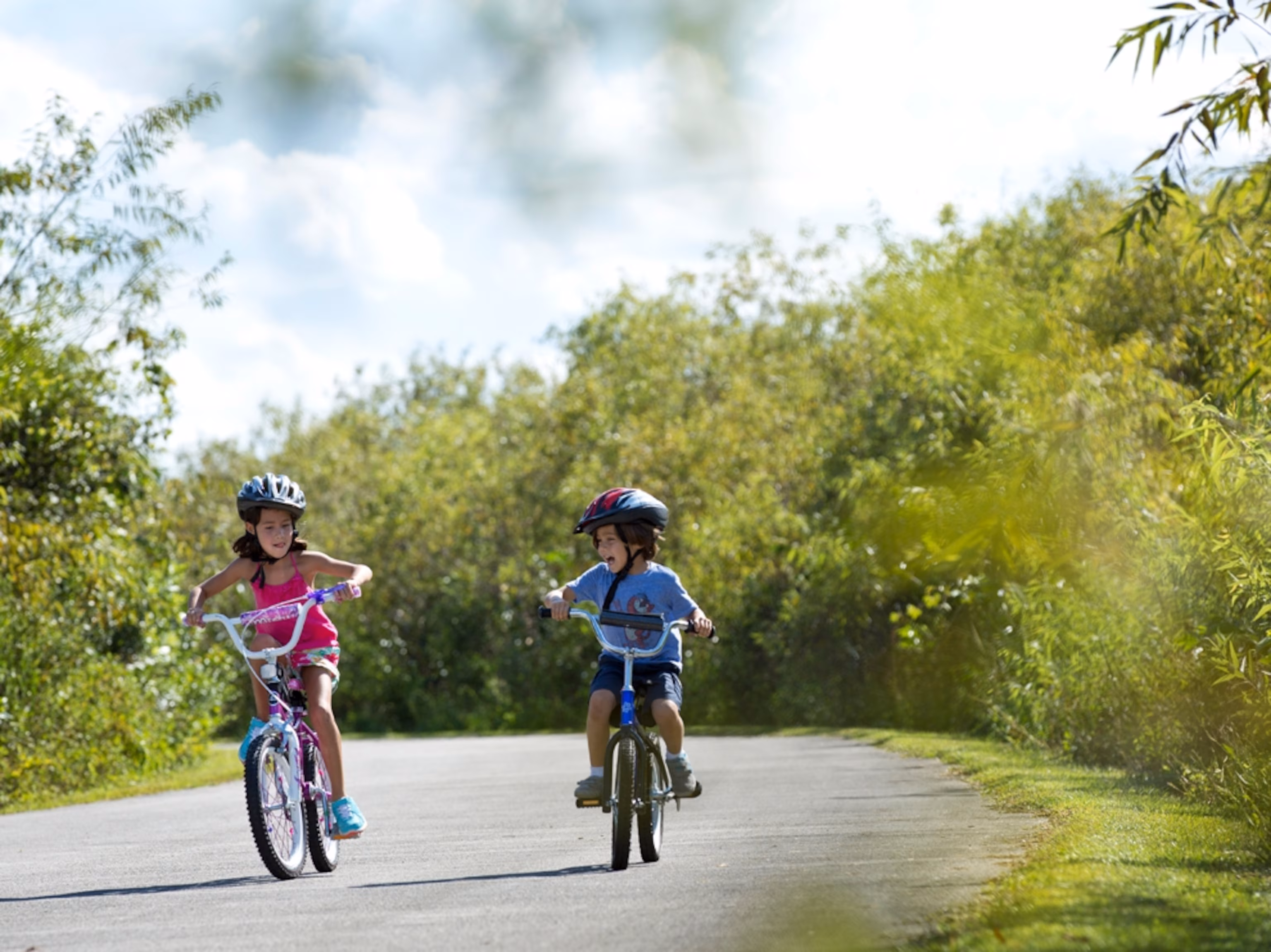 Shark Valley Bike Ride