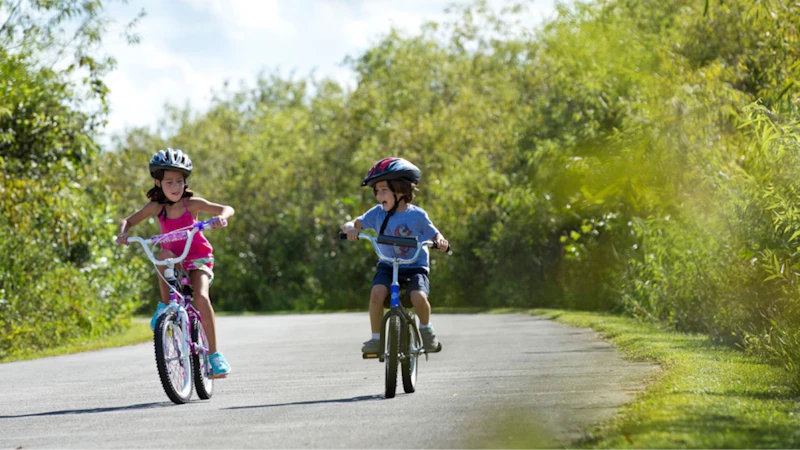 Shark Valley Bike Ride