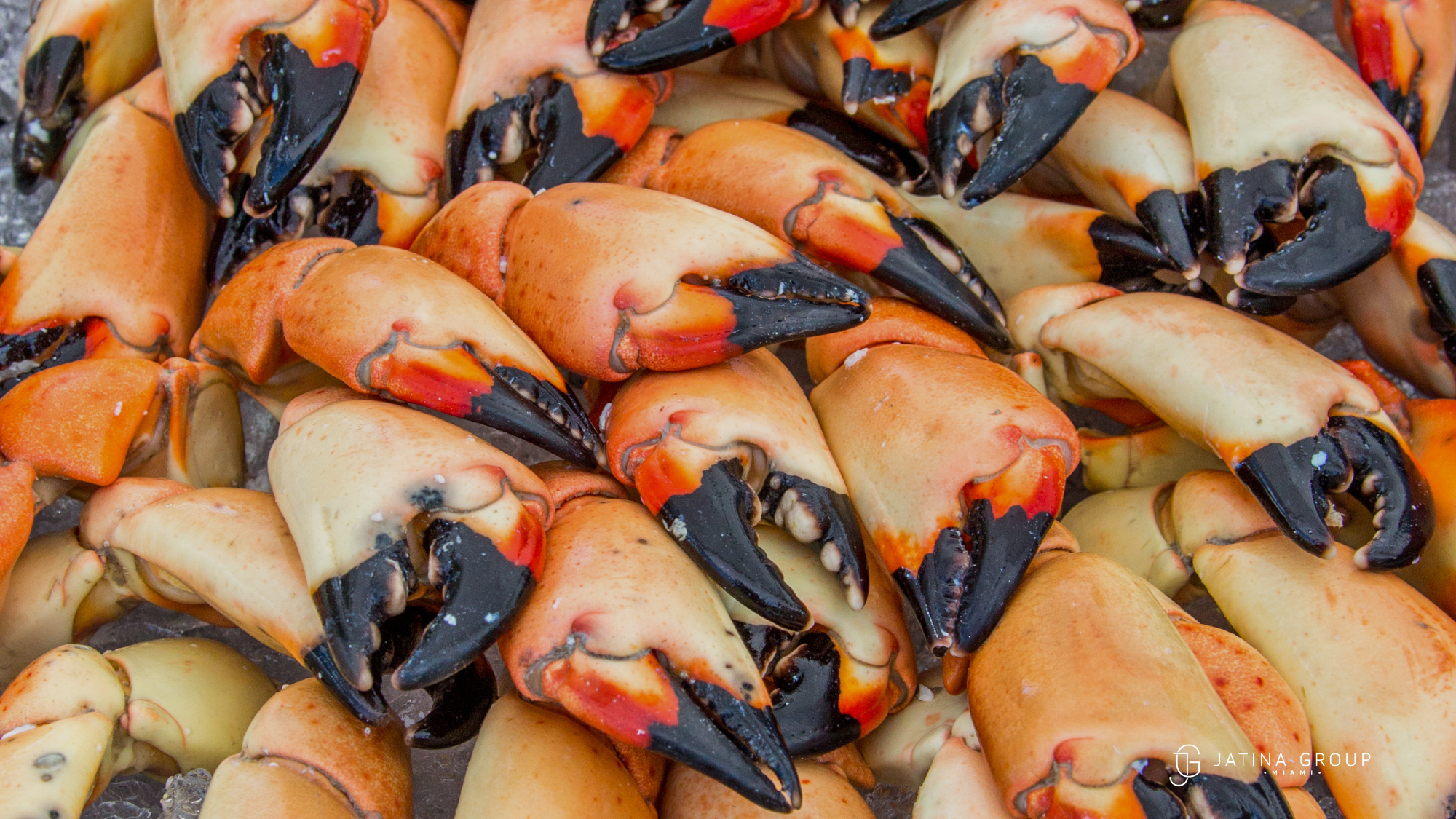 Stone Crab Season In Miami A Locals Guide To The First Bite 